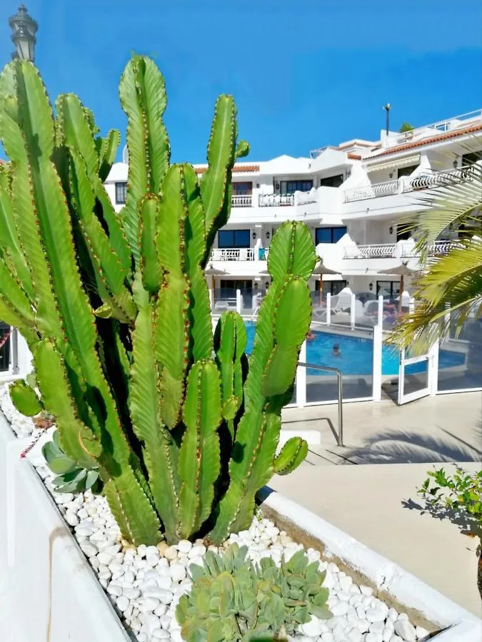 Aguamarina Apartment - Los Diamantes 2 Los Cristianos
